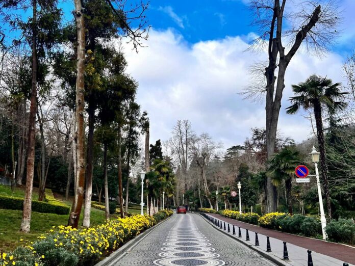 yıldız korusu